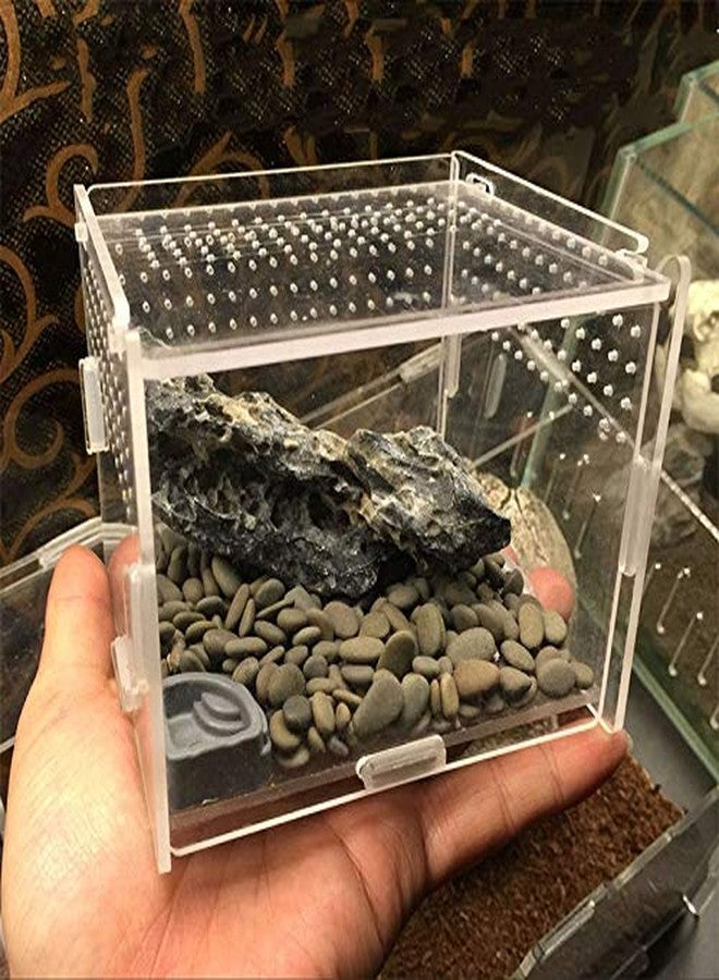 La La Pet® Acrylic Transparent Reptiles Terrarium Spider Breeding Box for Lizard Bearded Dragon Frog Chameleon Geckos Snails Hermit Crabs - Image 2